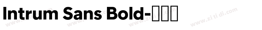 Intrum Sans Bold字体转换